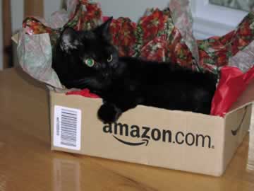 a black cat is in an Amazon box